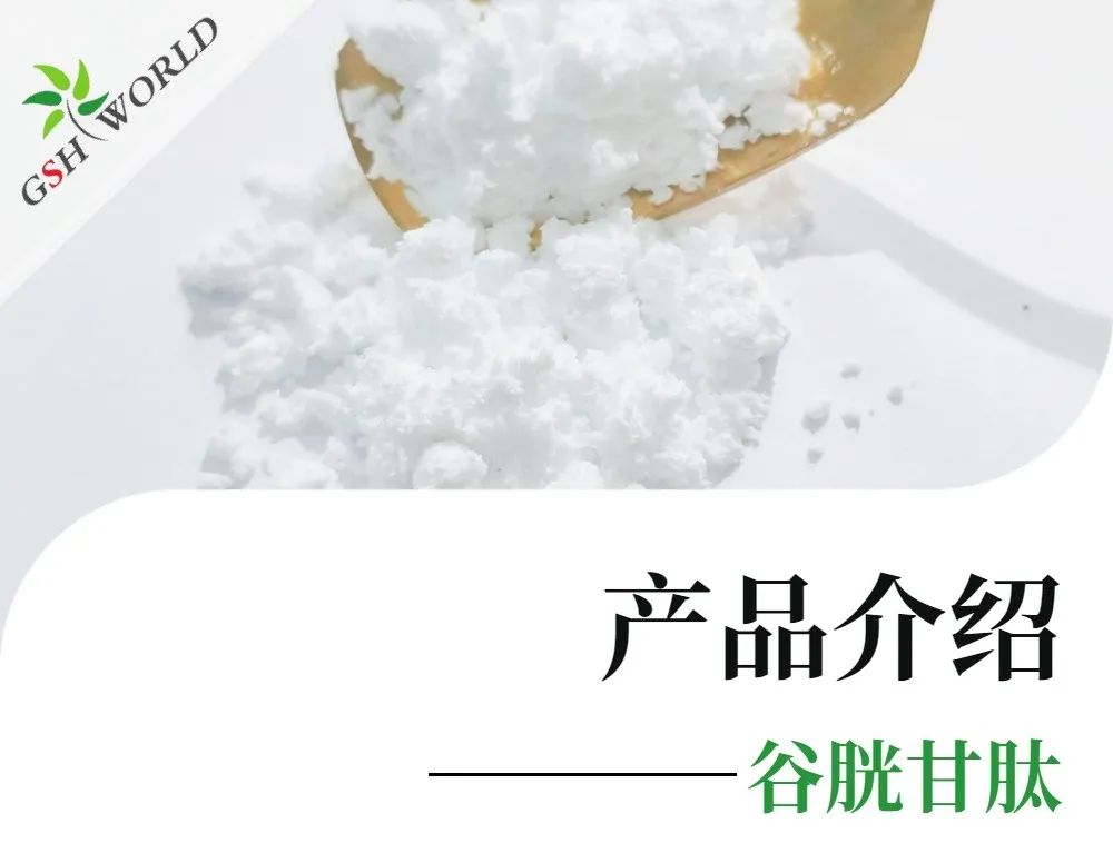 產(chǎn)品介紹 - 谷胱甘肽——遠比你想象的更強大